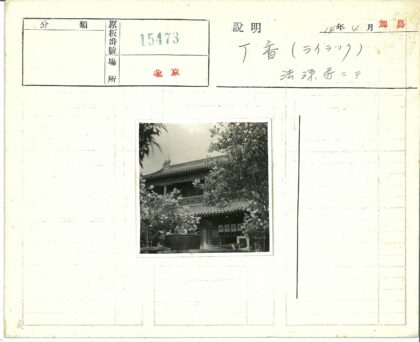 传统建筑瓦顶绿树前大锅.jpg