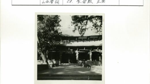 传统建筑瓦顶绿荫小径.jpg