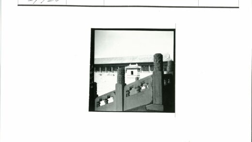 传统建筑瓦顶龙纹石栏景观.jpg