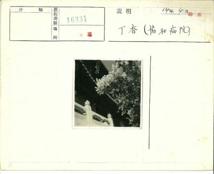 传统建筑石栏杆与盛开花朵.jpg