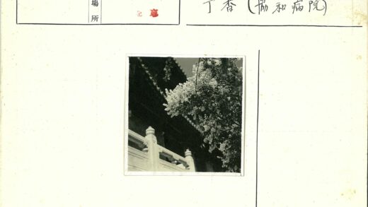 传统建筑石栏杆与盛开花朵.jpg