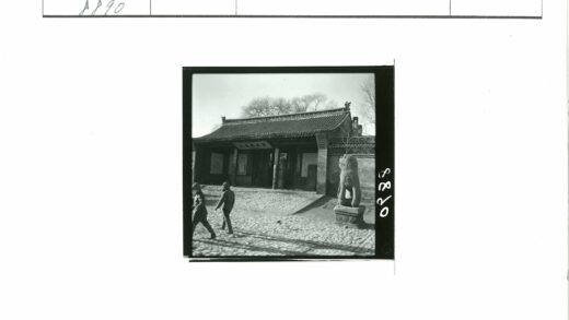 传统建筑石狮子与冬树.jpg
