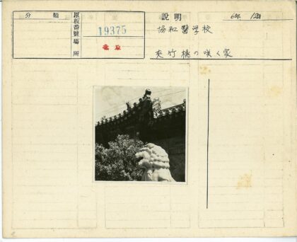 传统建筑石狮子与华丽屋顶.jpg