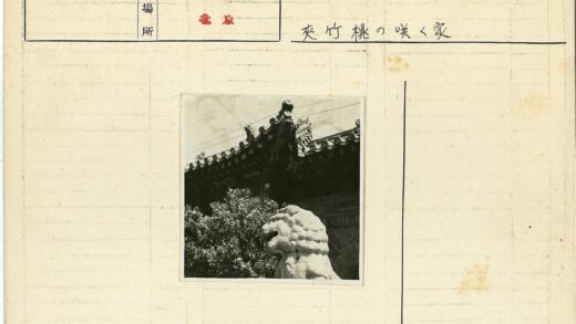 传统建筑石狮子与华丽屋顶.jpg