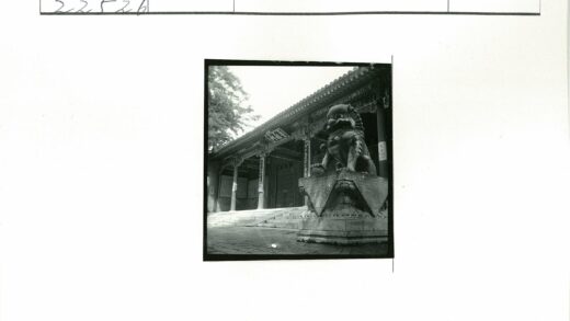 传统建筑石狮子雕像景观.jpg