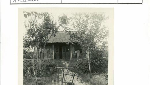 传统建筑砖路瓦顶绿树.jpg