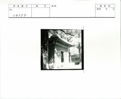 传统建筑绿荫环绕.jpg