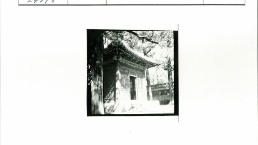 传统建筑绿荫环绕.jpg