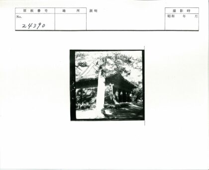 传统建筑绿荫阳光投影.jpg