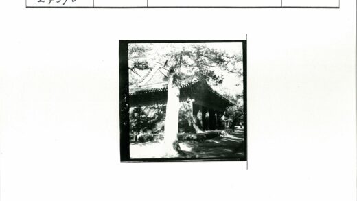 传统建筑绿荫阳光投影.jpg