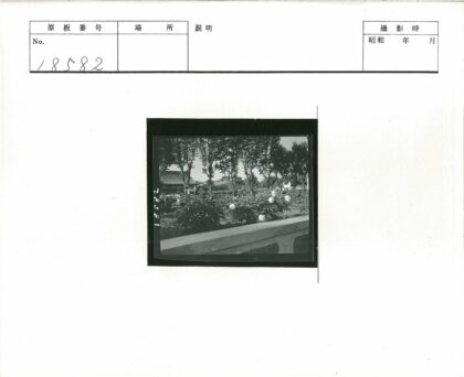 传统建筑花园晴天景色.jpg