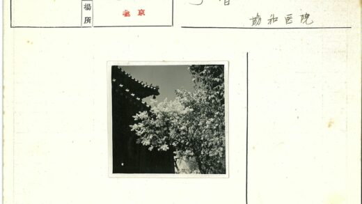 传统建筑花影屋顶.jpg