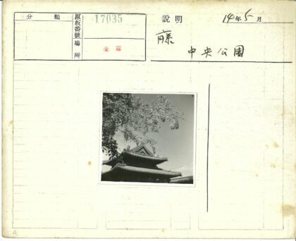传统建筑花枝映屋顶.jpg
