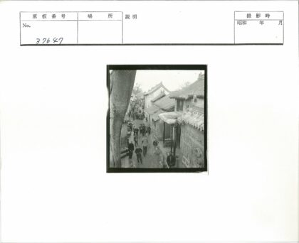传统建筑街景人潮老树.jpg