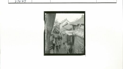 传统建筑街景人潮老树.jpg
