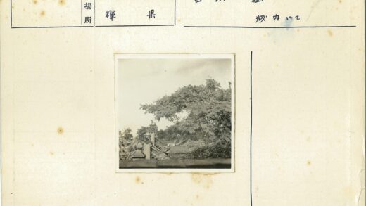 传统建筑陶瓷屋顶与绿树景观.jpg