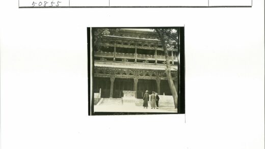 传统建筑雕刻与树景.jpg