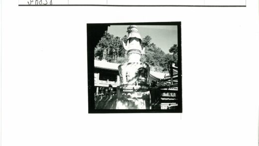 传统建筑雕刻与森林景观.jpg