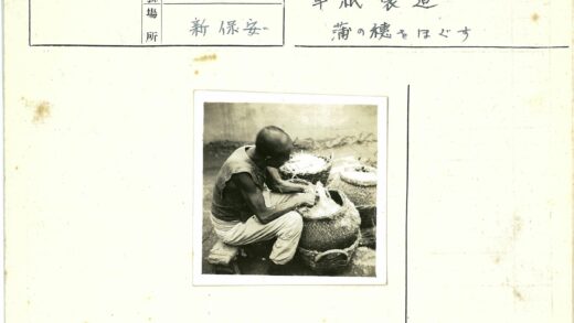 传统手工艺人编织纤维篮子.jpg
