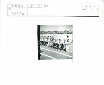 传统拔河比赛活动现场.jpg