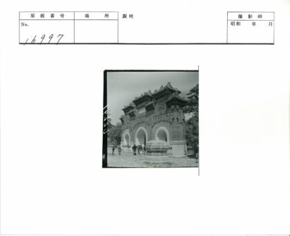 传统拱门树下人群合影.jpg