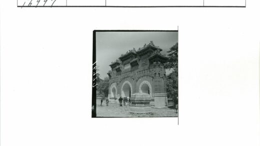 传统拱门树下人群合影.jpg