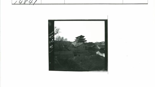 传统斜顶宝塔与晴空树枝.jpg