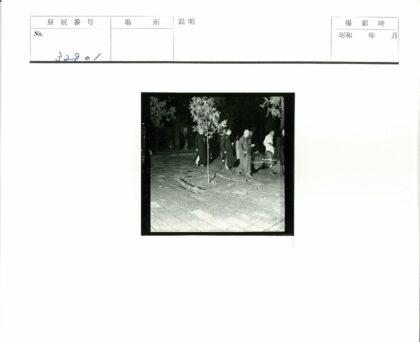 传统服装夜景行走.jpg