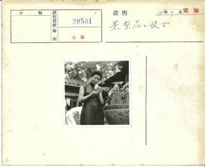 传统服饰女子与盆栽瓦顶绿意.jpg