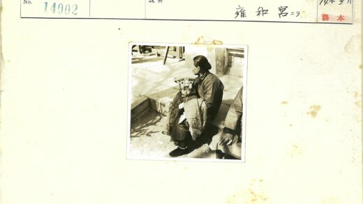 传统服饰孩童坐石阶.jpg