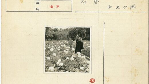 传统服饰漫步春日花园.jpg