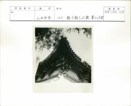 传统木屋顶与树枝建筑细节.jpg
