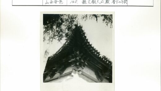 传统木屋顶与树枝建筑细节.jpg