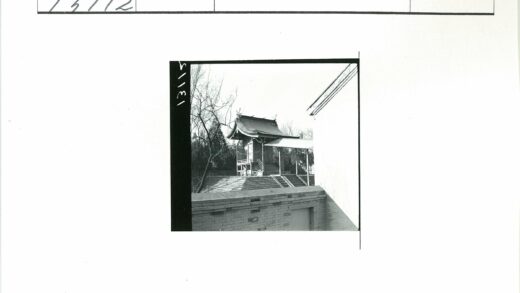传统木建筑与冬日树影.jpg