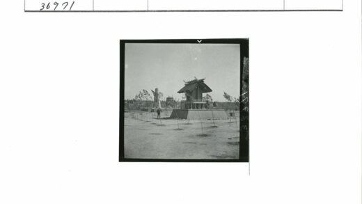 传统木构建筑与树苗景观.jpg