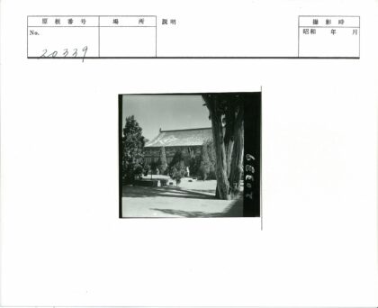传统木构建筑庭院光影.jpg