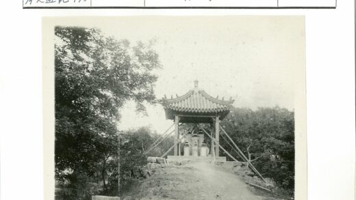 传统木梁瓦顶亭子林间小路.jpg