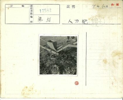 传统木犁草地耕作特写.jpg
