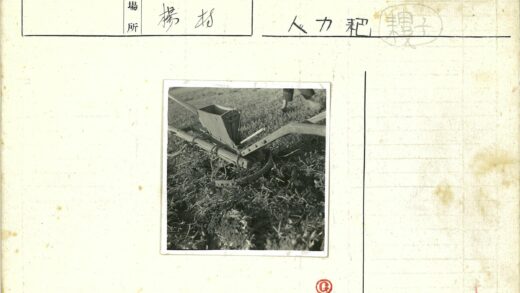 传统木犁草地耕作特写.jpg