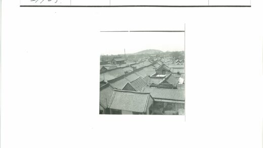 传统村庄屋顶与丘陵风光.jpg