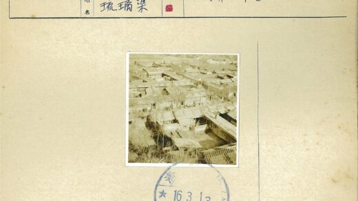 传统村庄鸟瞰瓦屋树木行人.jpg