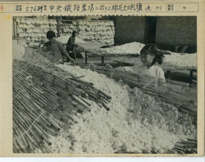 传统棉花加工户外工作场景.jpg