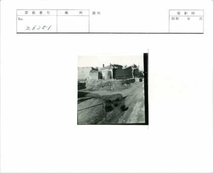 传统泥砖乡村与土路猪群.jpg
