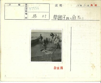 传统渔村集体捕鱼场景.jpg