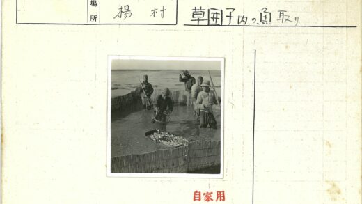 传统渔村集体捕鱼场景.jpg