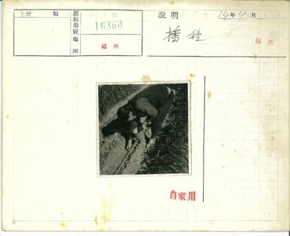 传统犁沟播种农事活动.jpg