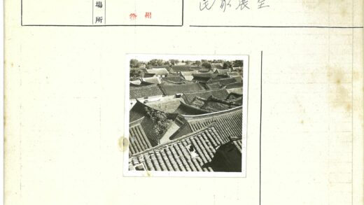 传统瓦顶与自然树林景观.jpg