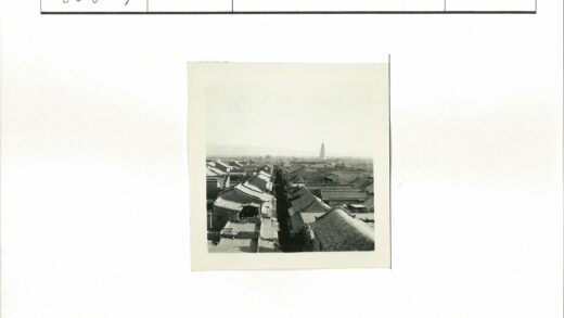 传统瓦顶城区与宝塔鸟瞰.jpg