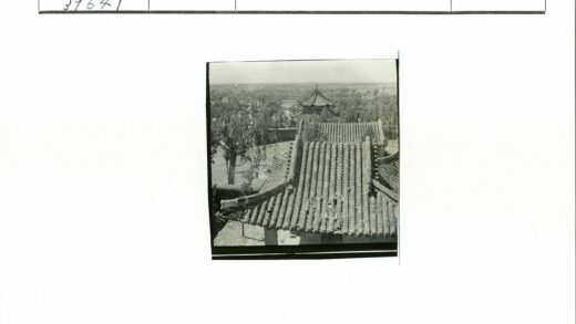 传统瓦顶宝塔与田野风光.jpg