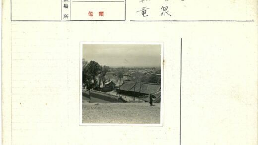 传统瓦顶建筑与城镇远景.jpg